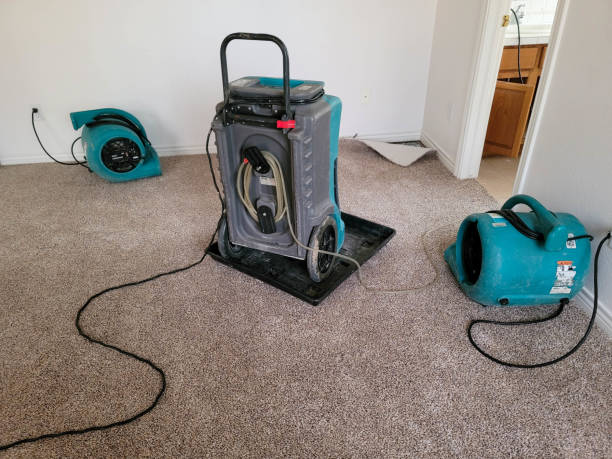 Best Local water damage restoration  in Hokendauqua, PA