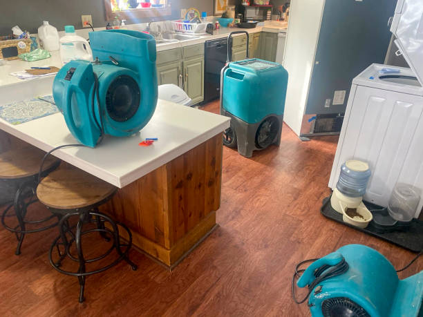 Best 24/7 water damage repair  in Hokendauqua, PA