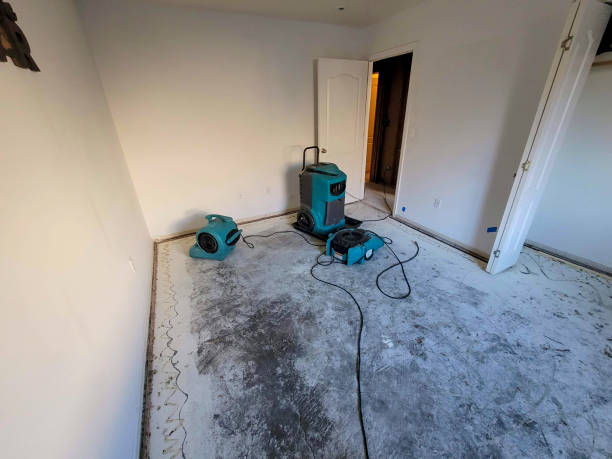 Best Sewage cleanup and water damage restoration  in Hokendauqua, PA