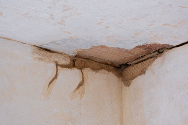 Best Water damage cleanup near me  in Hokendauqua, PA