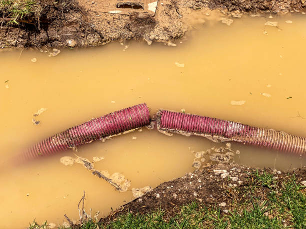 Best Water damage restoration process  in Hokendauqua, PA